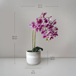Orquídea artificial con Maceta de cerámica Royal Medidas MAIA SHOP