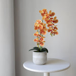 Orquídea artificial con Maceta de cerámica Royal Naranja