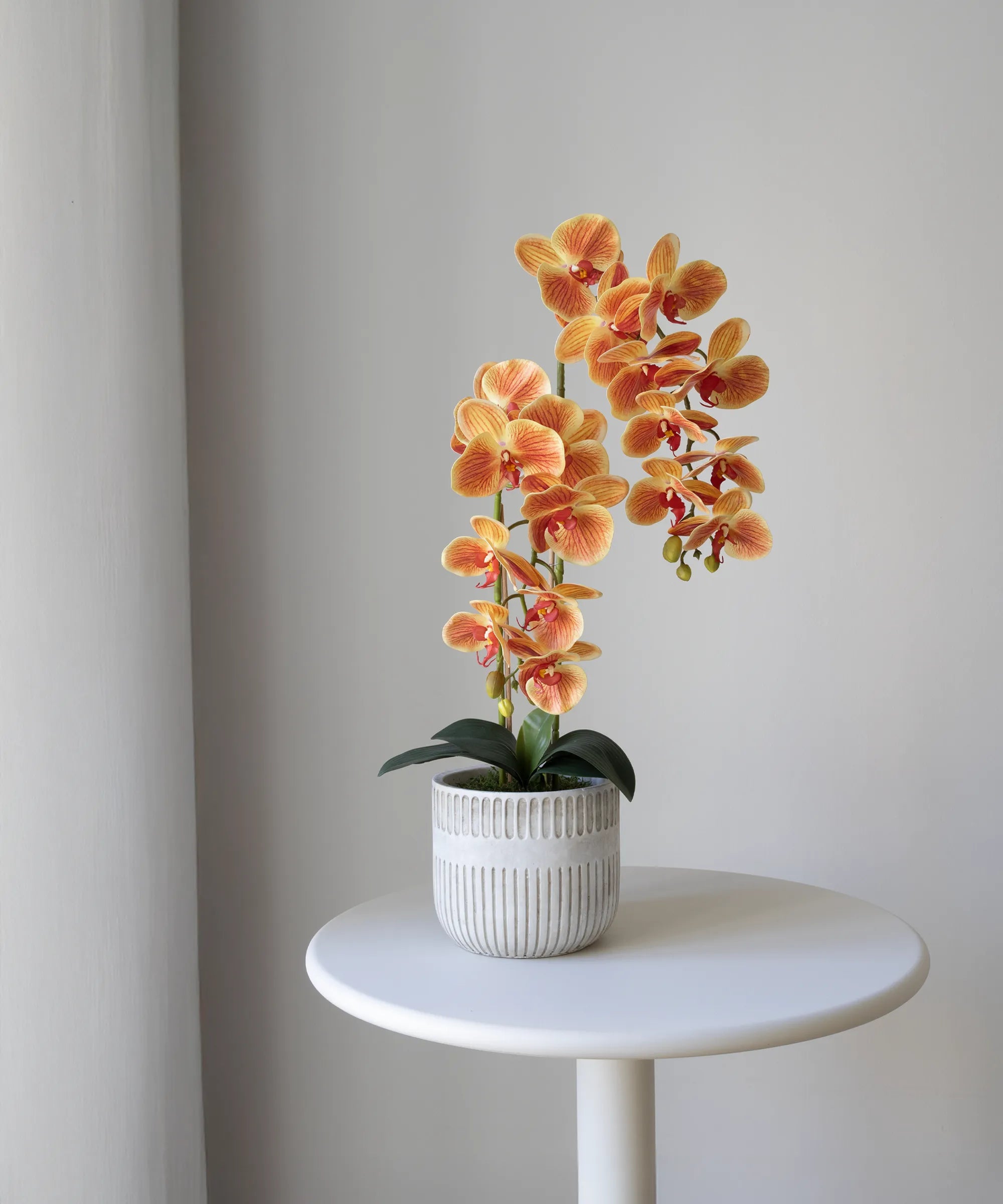 Orquídea artificial con Maceta de cerámica Royal Naranja