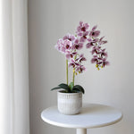 Orquídea artificial con Maceta de cerámica Royal Violeta