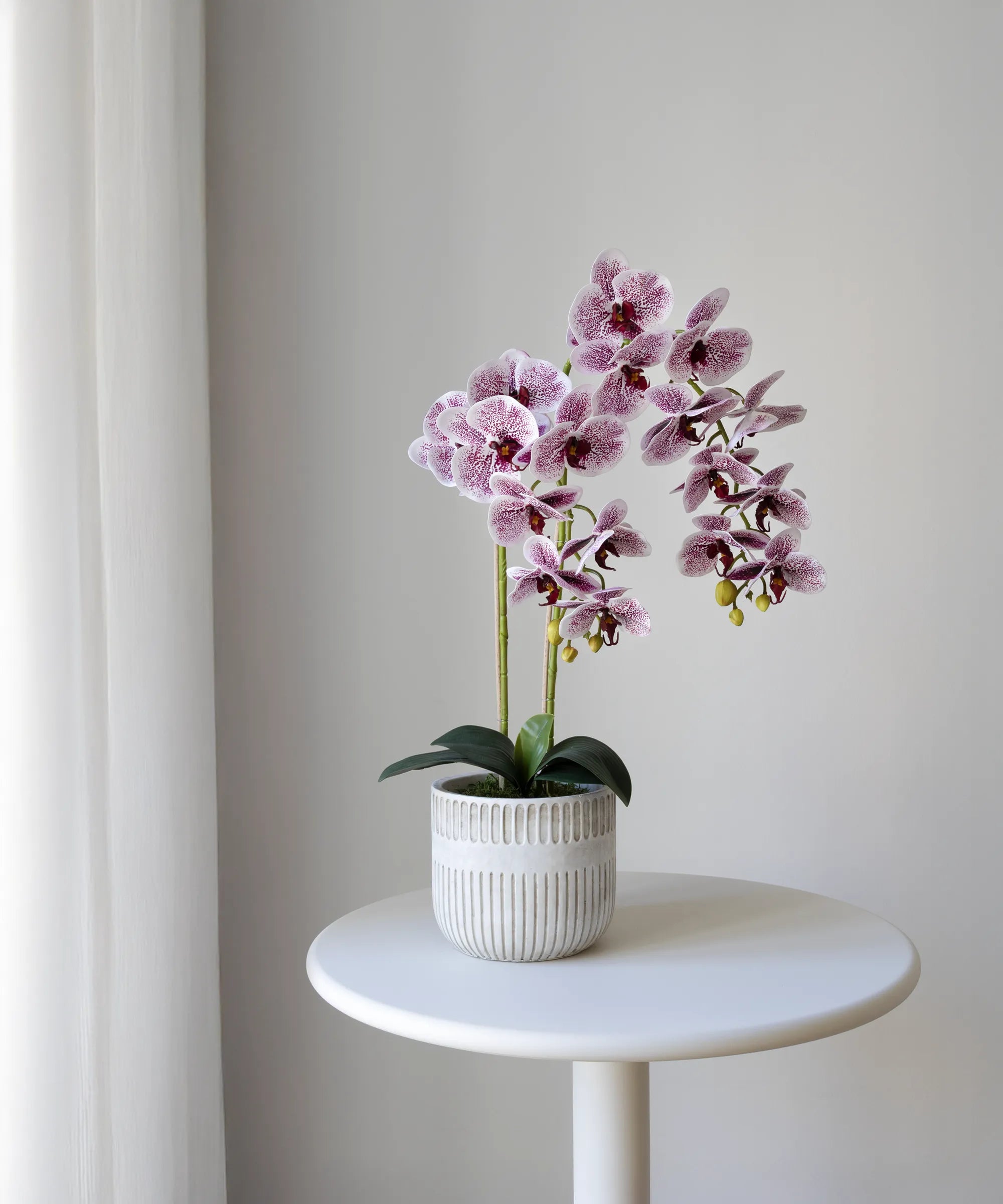 Orquídea artificial con Maceta de cerámica Royal Violeta