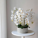Orquídea artificial con Maceta de cerámica Sira Blanca