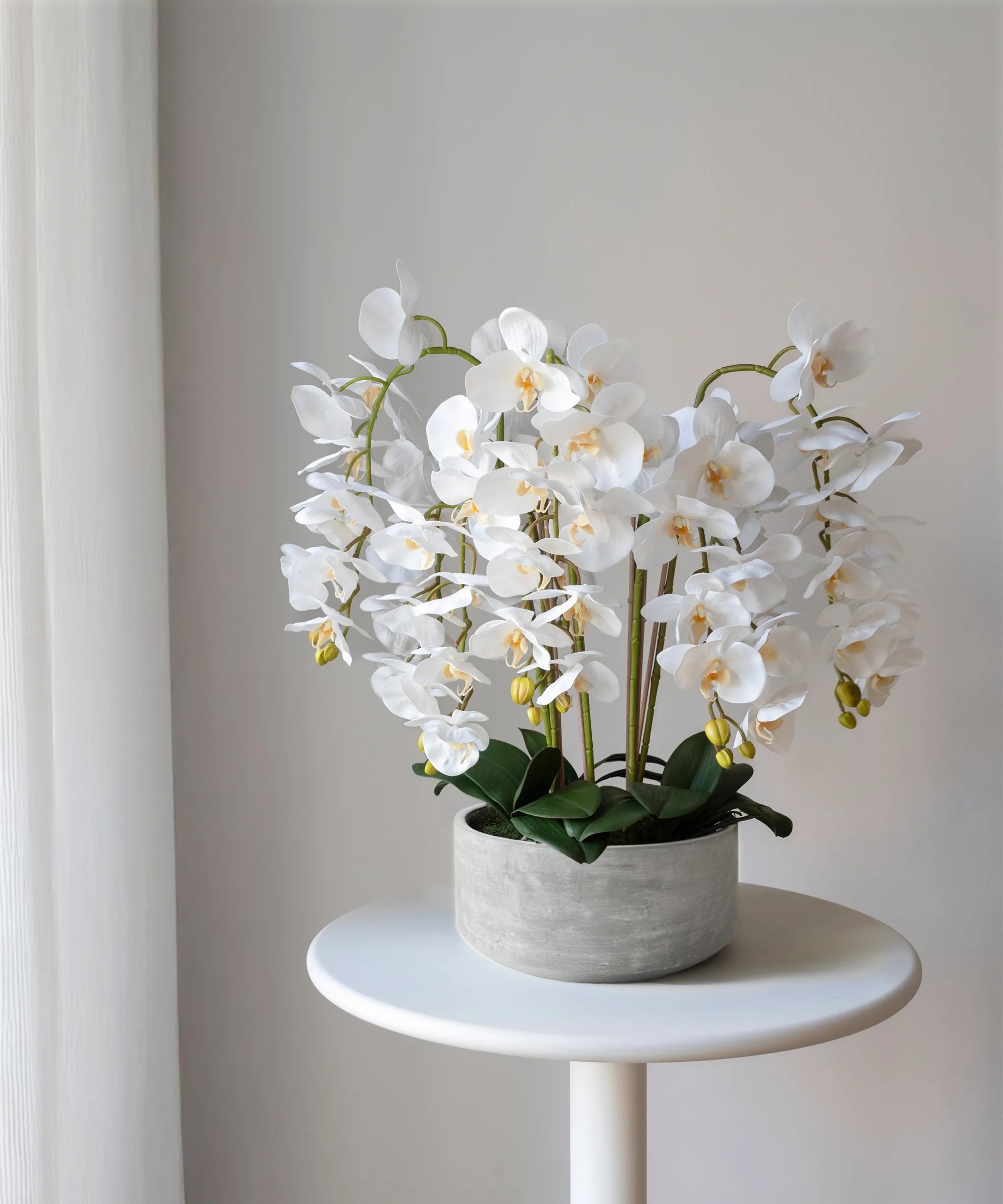 Orquídea artificial con Maceta de cerámica Sira Blanca