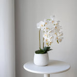 Orquídea artificial con Maceta de cerámica Soft Blanco