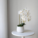 Orquídea artificial con Maceta de cerámica Soft Blanco