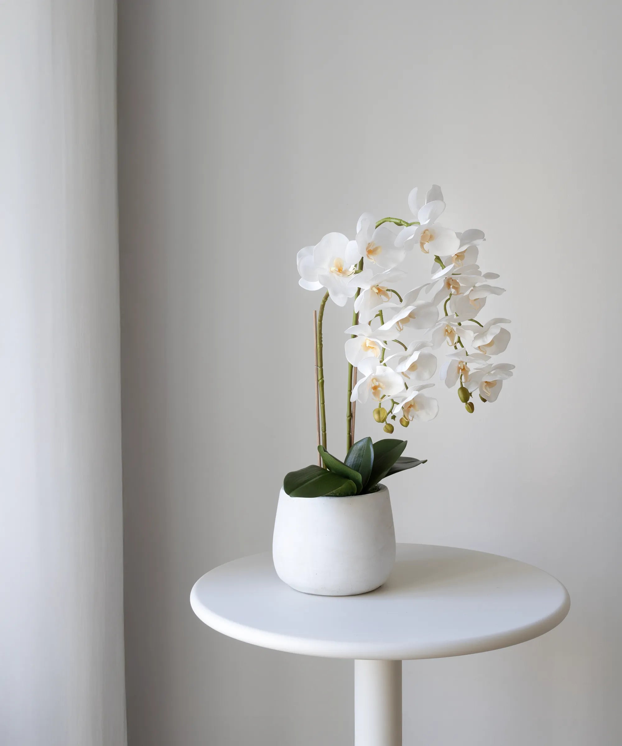 Orquídea artificial con Maceta de cerámica Soft Blanco