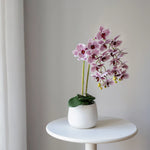 Orquídea artificial con Maceta de cerámica Soft MAIA SHOP