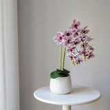Orquídea artificial con Maceta de cerámica Soft MAIA SHOP