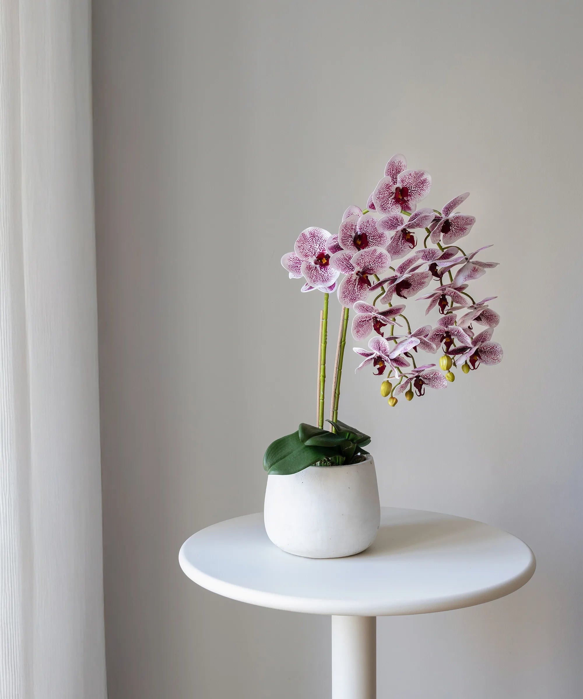 Orquídea artificial con Maceta de cerámica Soft MAIA SHOP