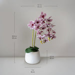 Orquídea artificial con Maceta de cerámica Soft MAIA SHOP Medida Maceta