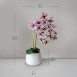 Orquídea artificial con Maceta de cerámica Soft MAIA SHOP Medida Maceta