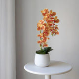 Orquídea artificial con Maceta de cerámica Soft Naranja