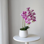 Orquídea artificial con Maceta de cerámica Soft Rosa