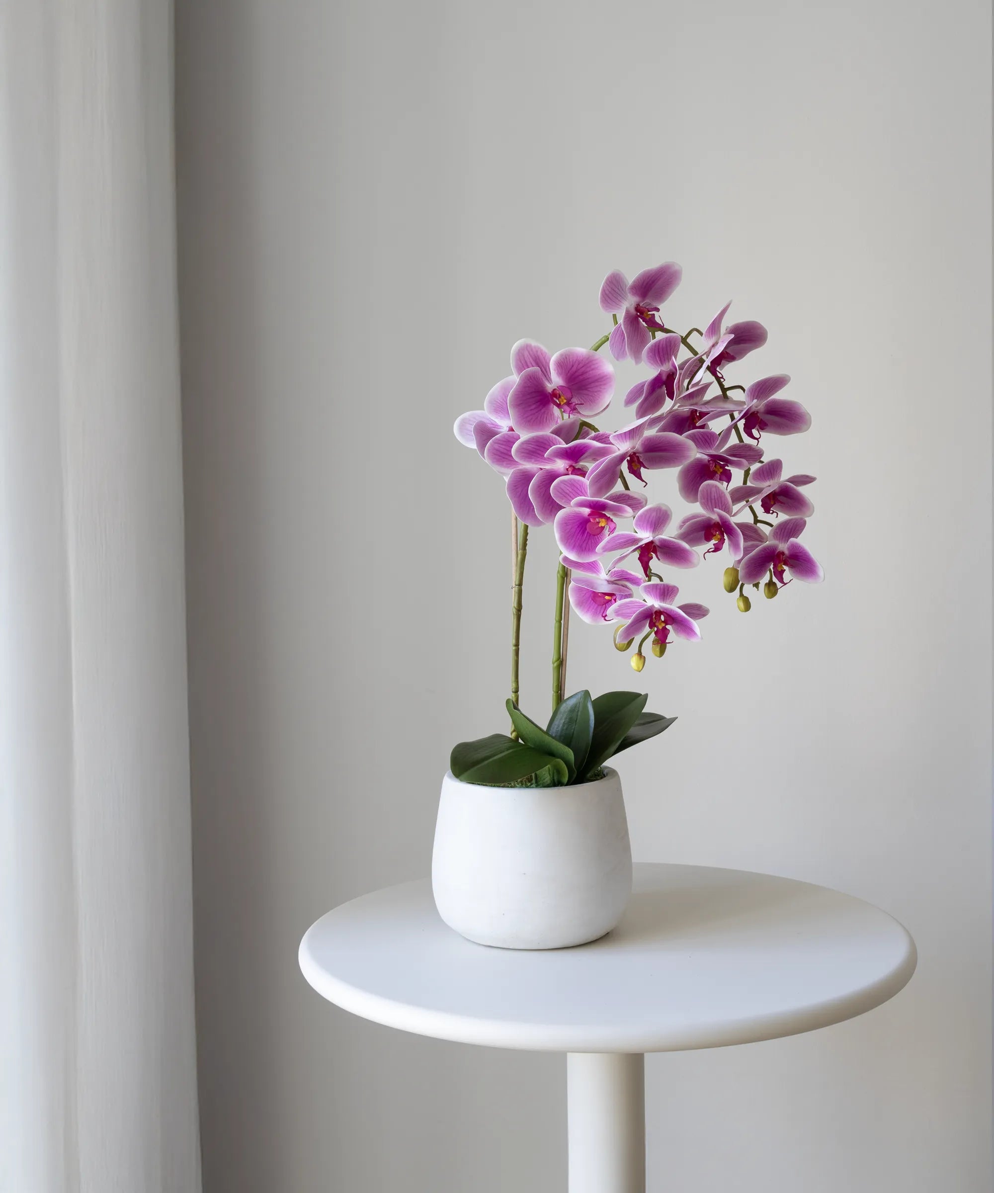 Orquídea artificial con Maceta de cerámica Soft Rosa
