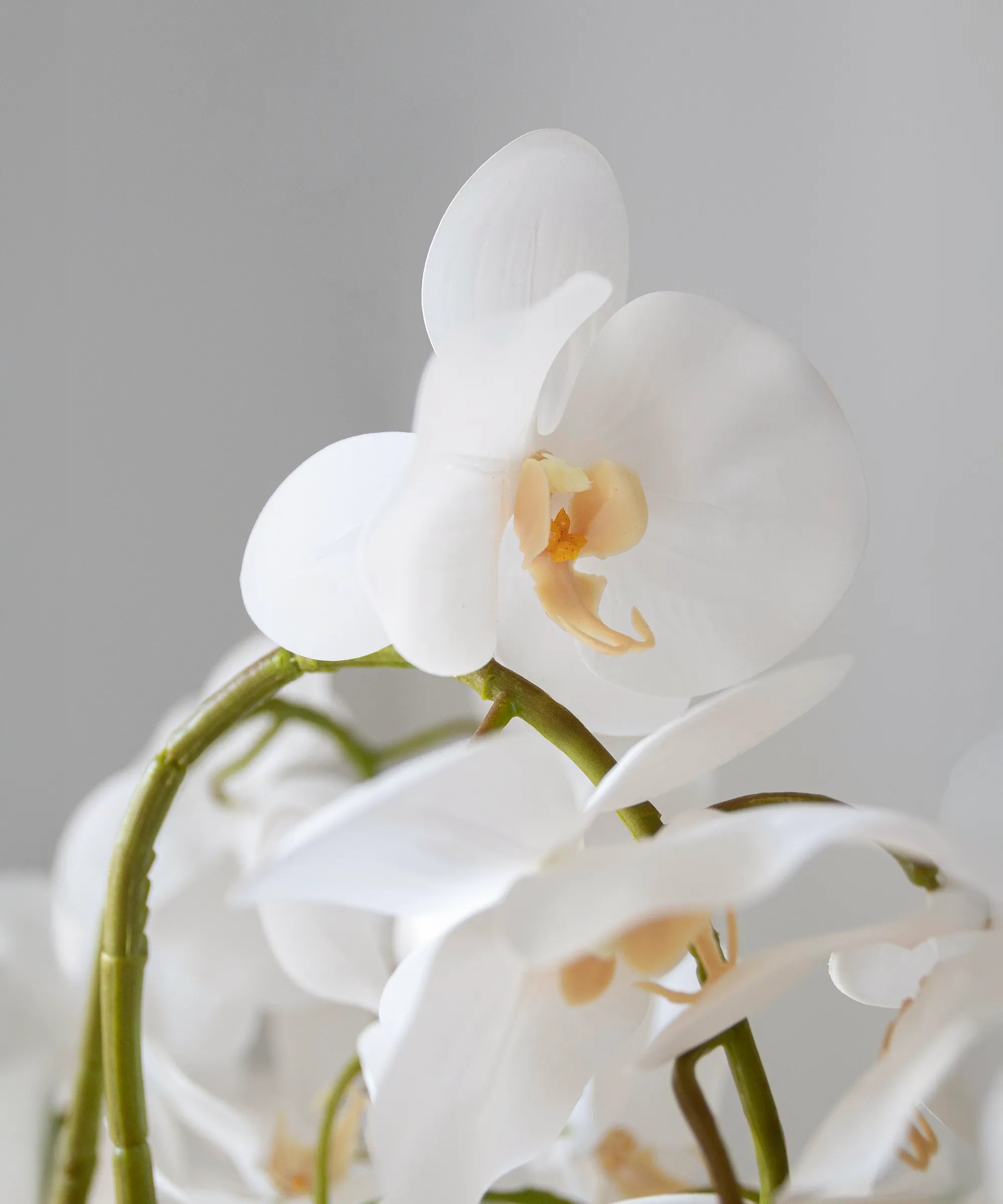 Orquidea artificial Flor Blanca Detalle MAIA SHOP