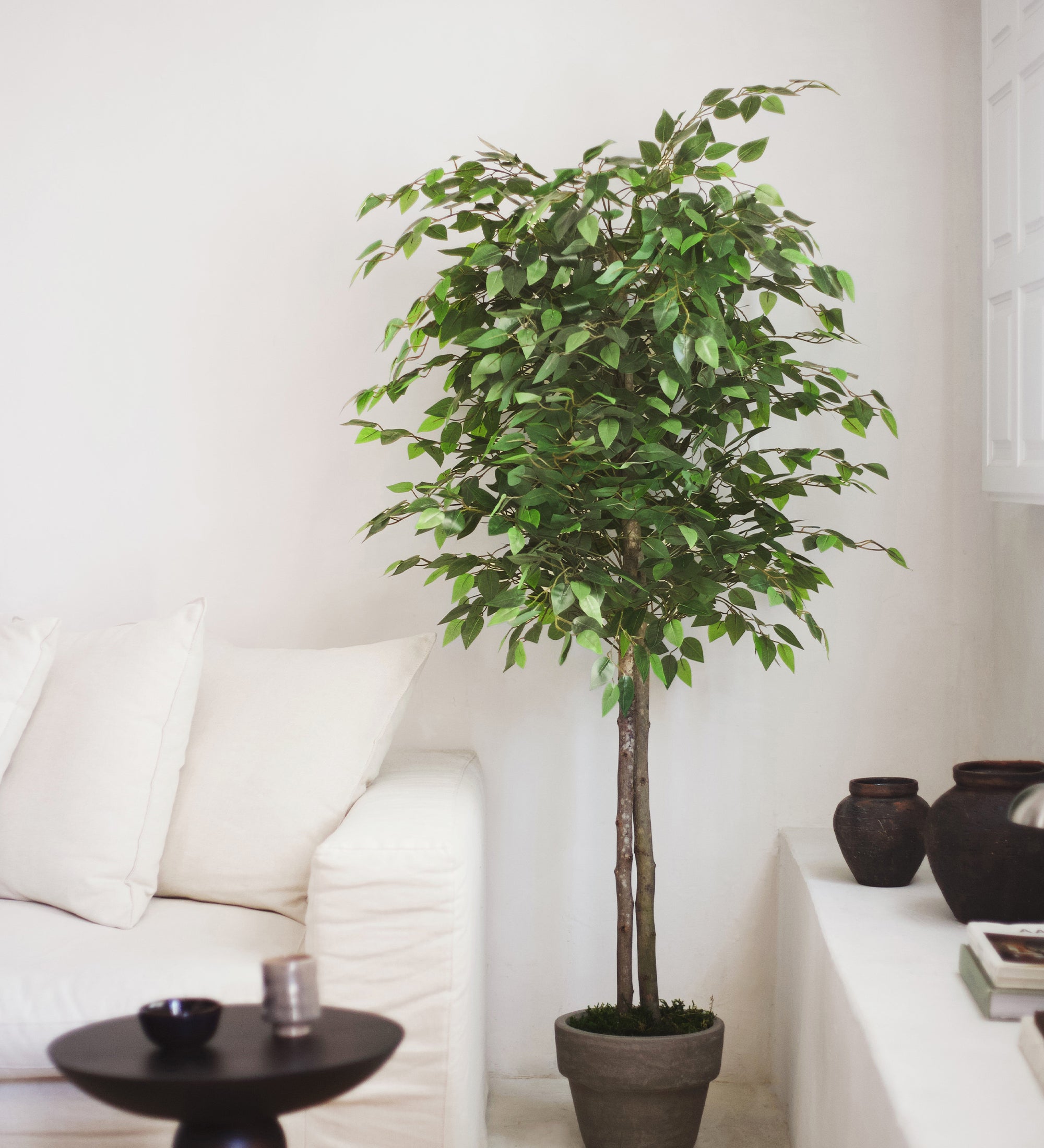 Ficus Artificial MAIA SHOP