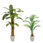 Pack Tropical Vibes MAIA SHOP