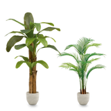 Pack Tropical Vibes MAIA SHOP
