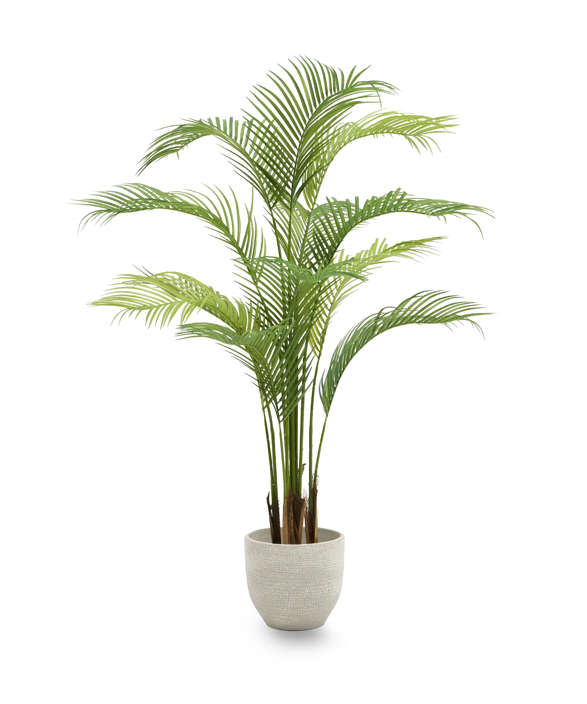 Palmera Artificial 165 MAIA SHOP PNG