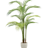 Palmera Artificial 180 MAIA SHOP PNG