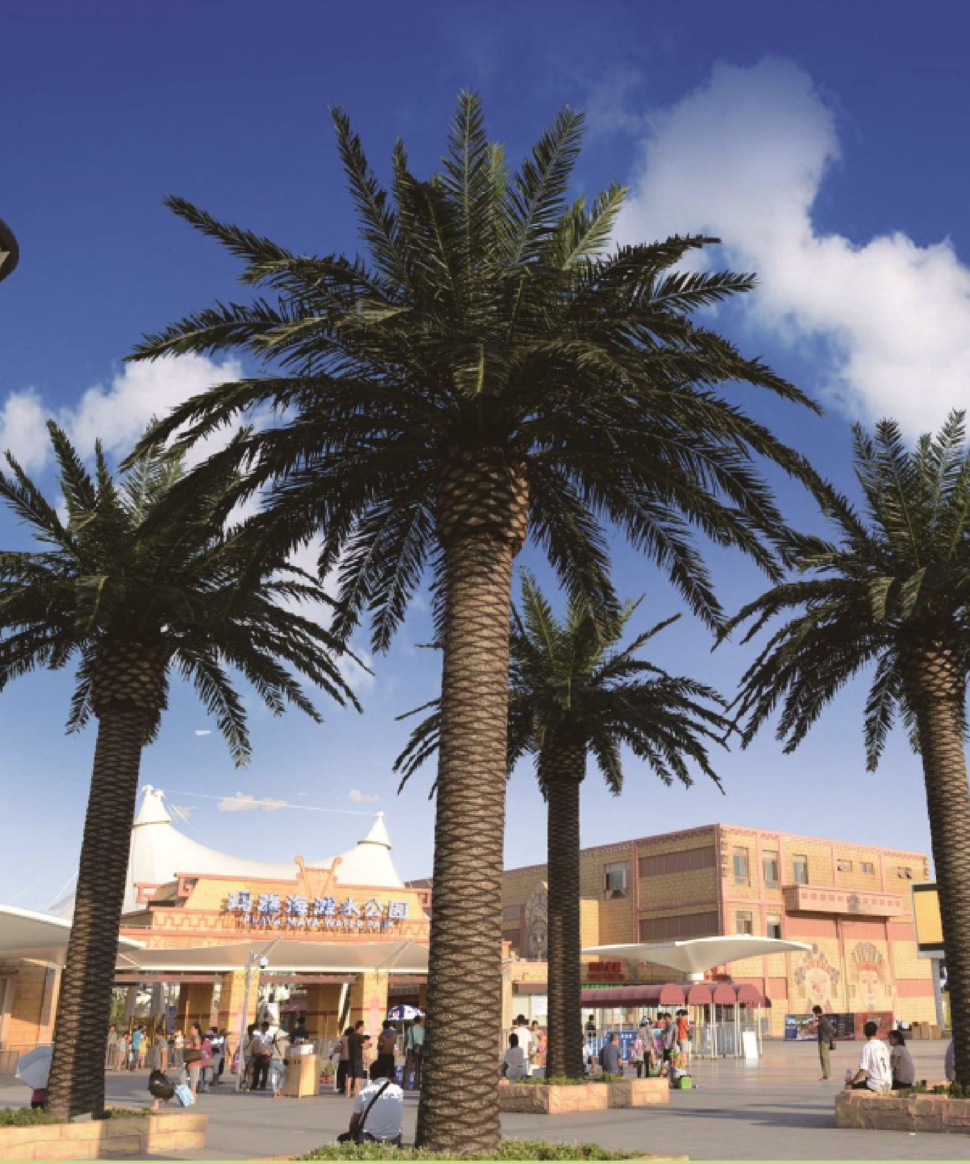 Palmera Artificial Canary 3m - 30m Plaza MAIA SHOP