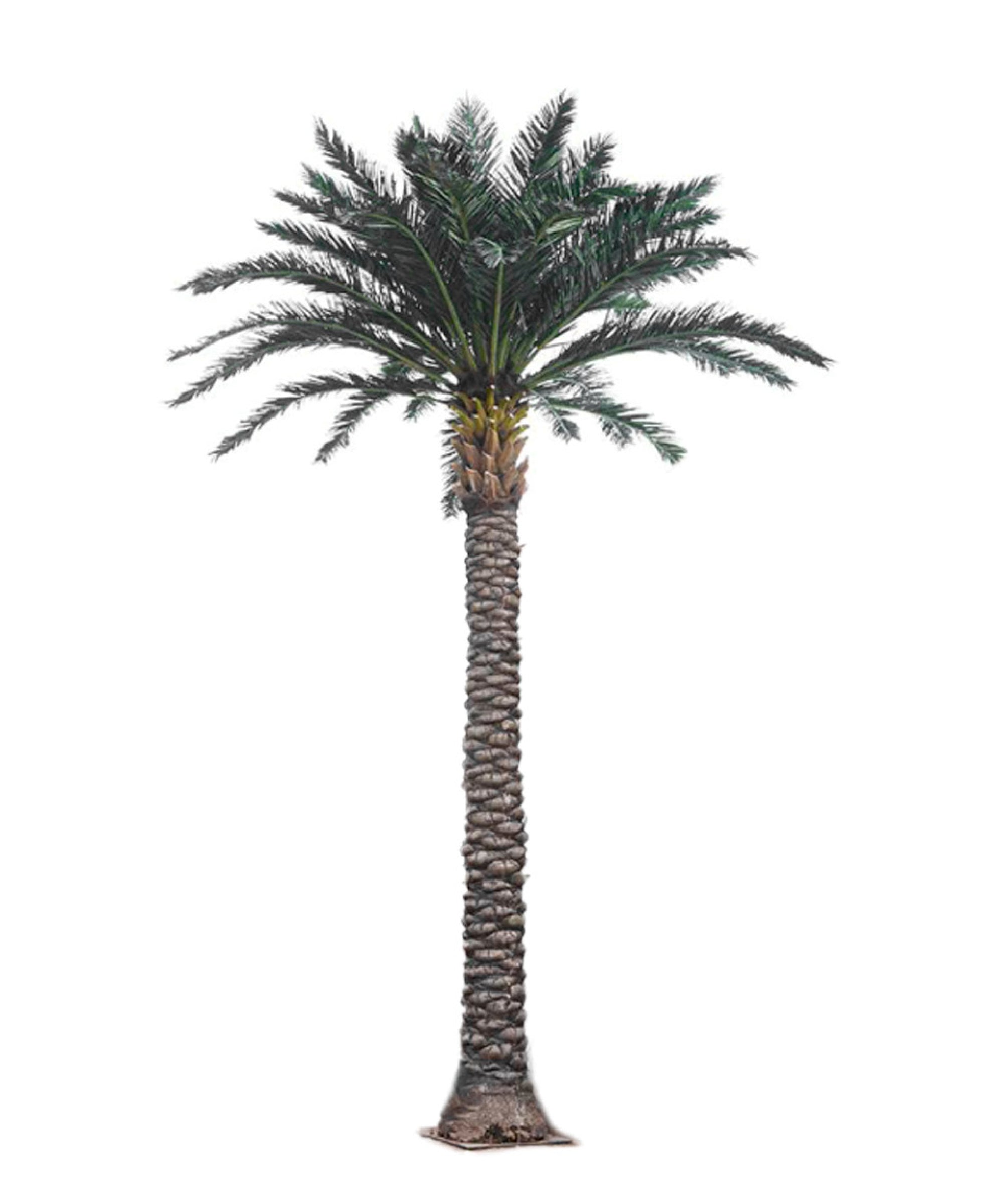 Palmera Artificial Datilera New Formosa 3m – 30m