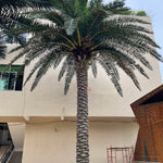 Palmera Artificial Datilera New Formosa 3m – 30m Obra Rozas MAdrid