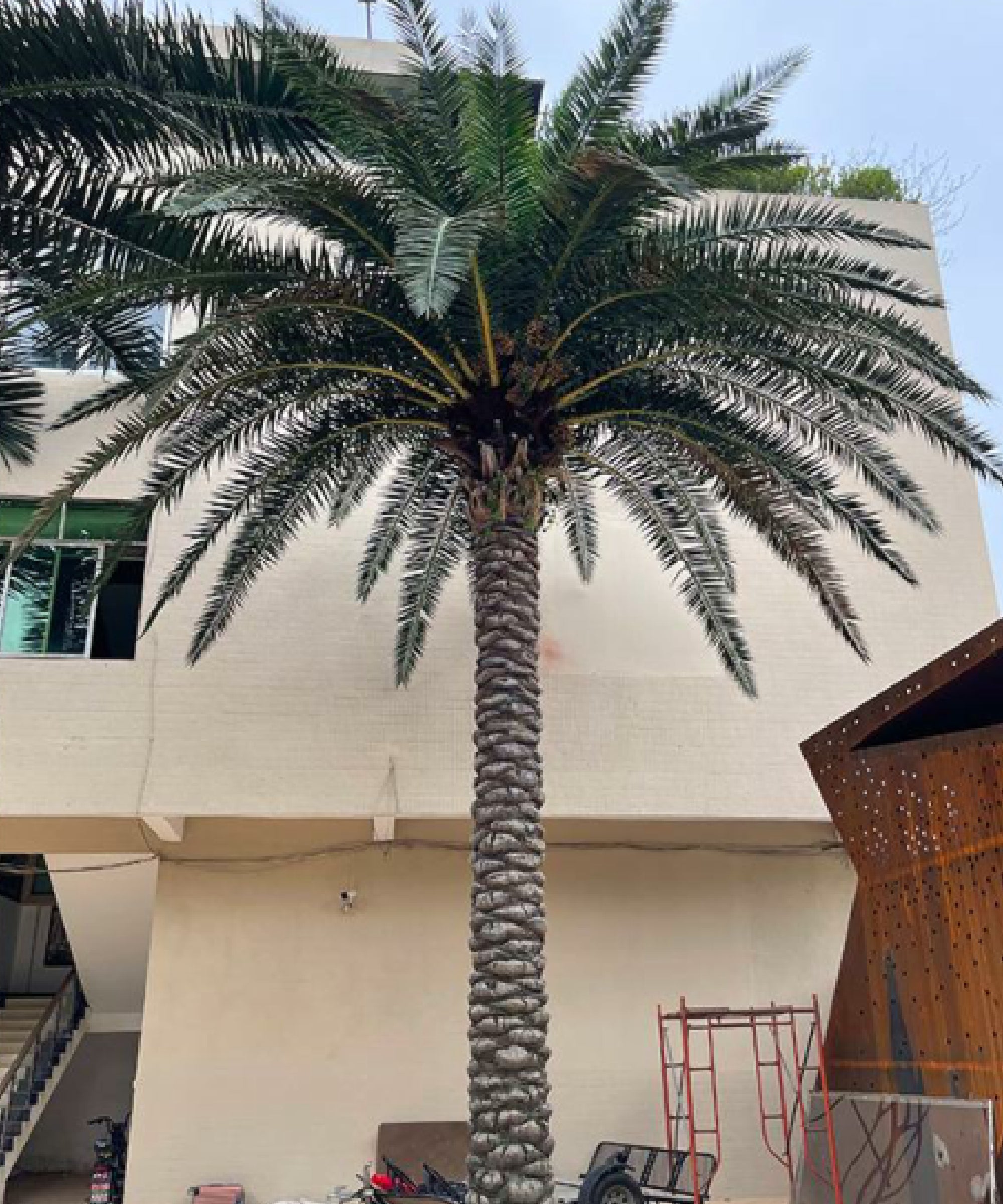 Palmera Artificial Datilera New Formosa 3m – 30m Obra Rozas MAdrid