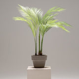Palmera Artificial MAIA SHOP 100 