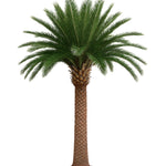 Palmera artificial Middle East 3m-30m MAIA SHOP