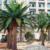 Palmera artificial Middle East 3m-30m MAIA SHOP JArdín
