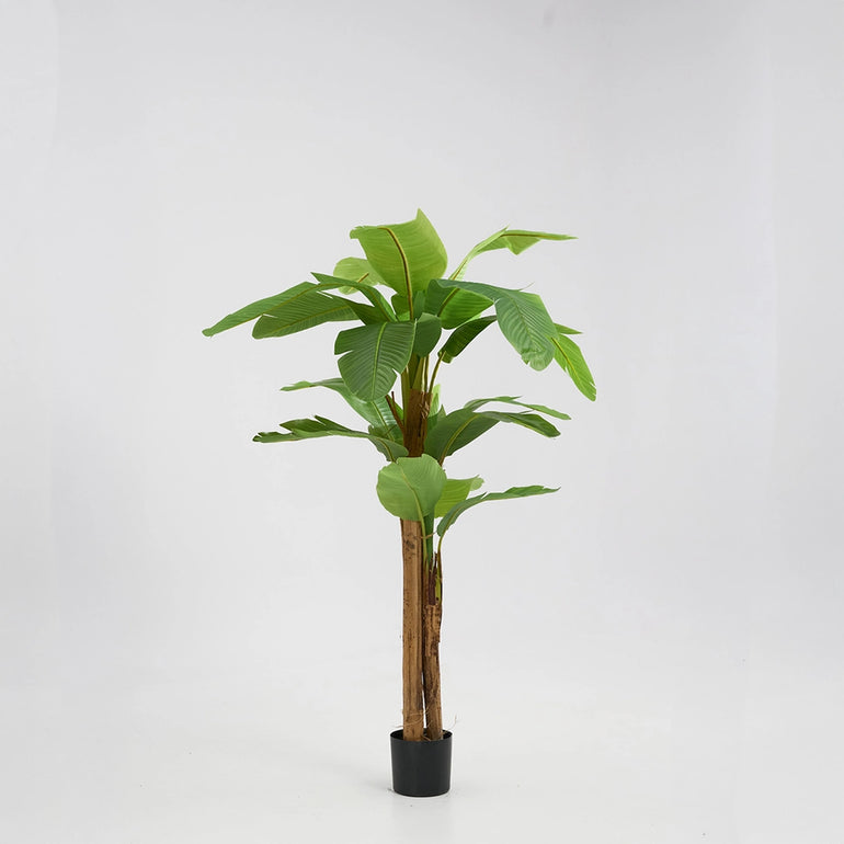 Platanera Artificial 240cm