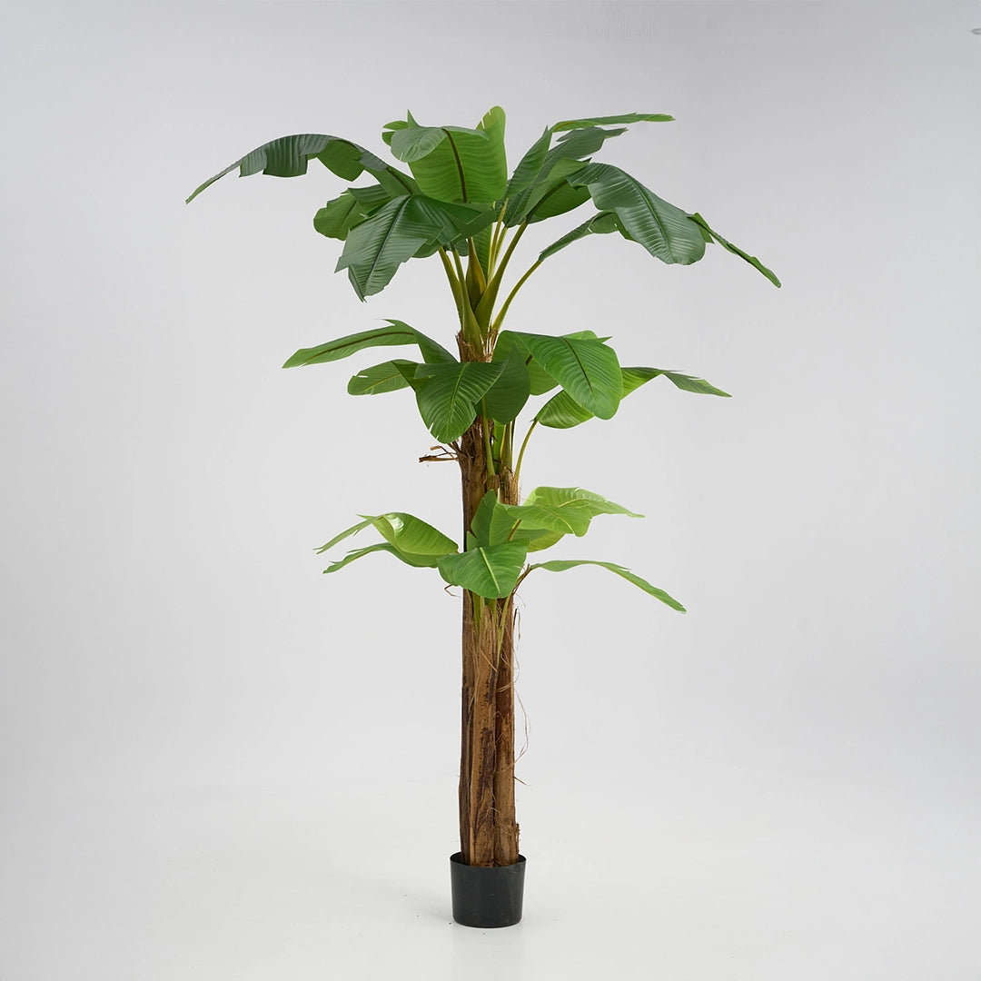 Platanera Artificial 320cm