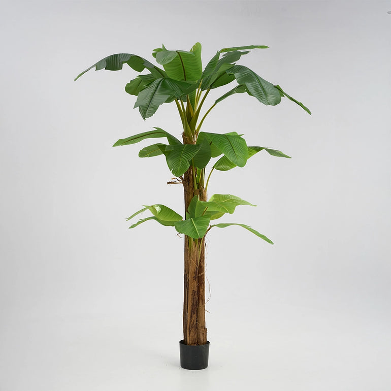 Platanera Artificial 320cm