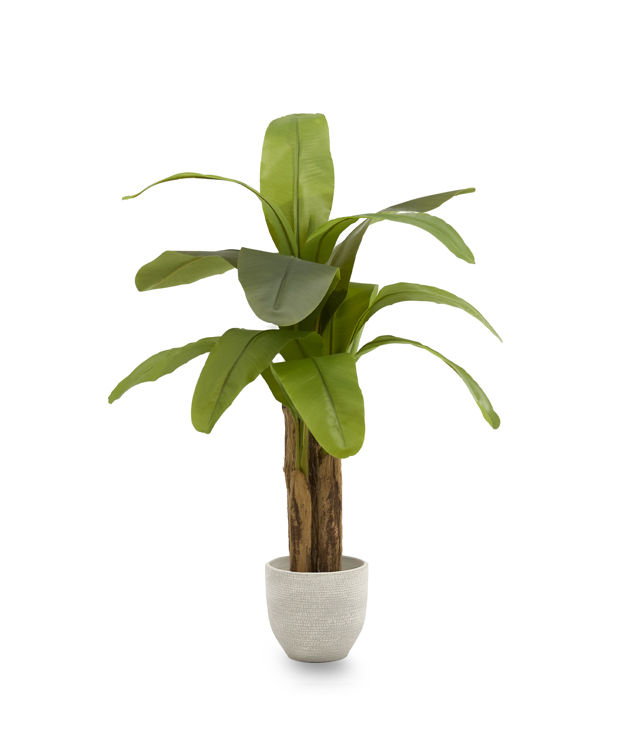 Platanera Artificial 120 MAIA SHOP PNG