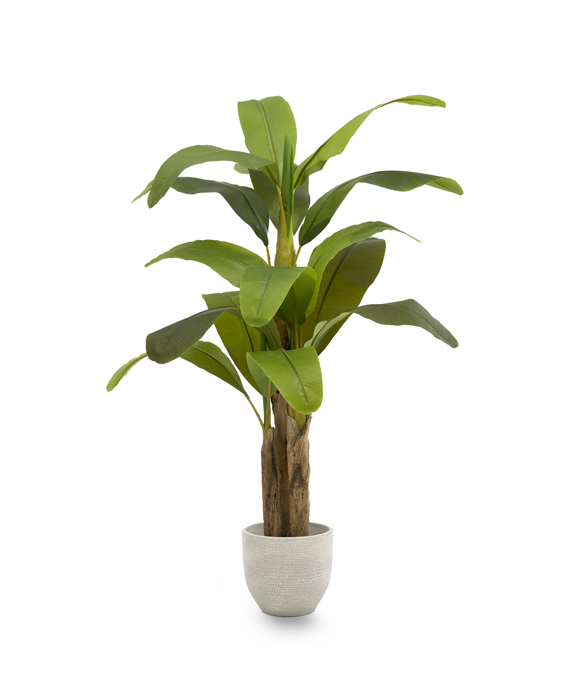 Platanera Artificial 150 MAIA SHOP PNG