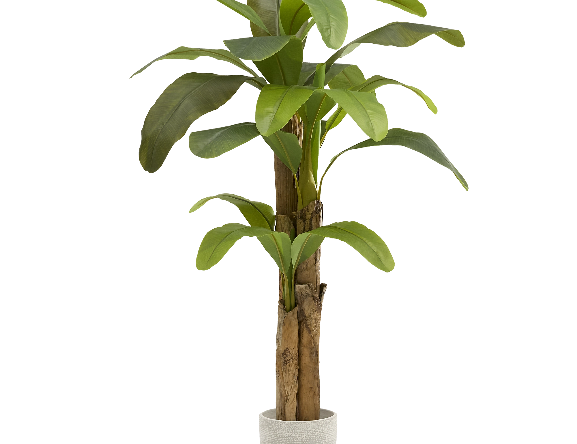 Platanera Artificial 180 MAIA SHOP PNG