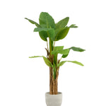 Platanera Artificial 200 MAIA SHOP