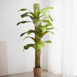 Platanera Artificial 210 MAIA SHOP