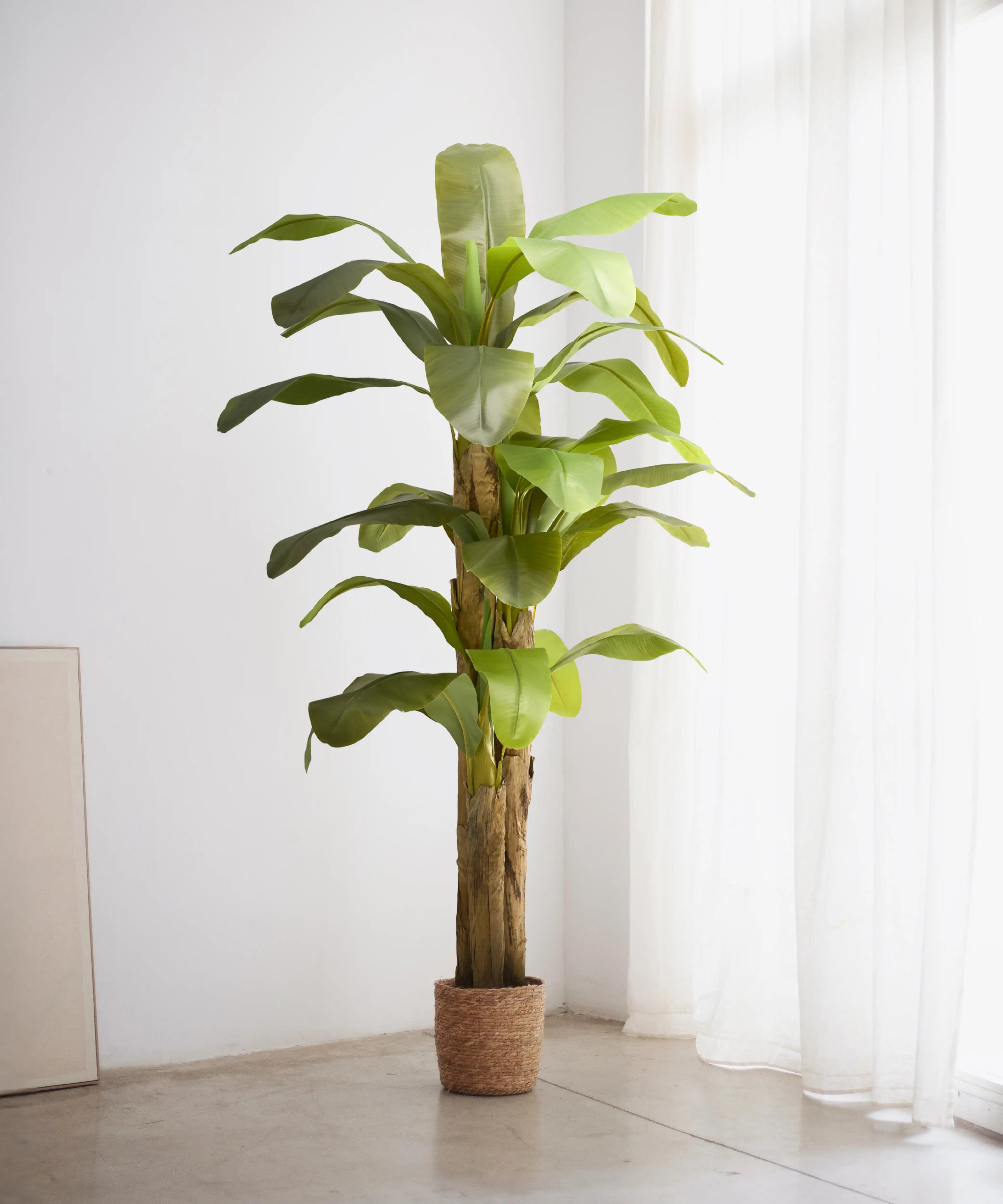 Platanera Artificial 210 MAIA SHOP