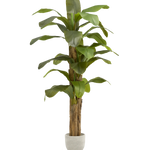 Platanera Artificial 210 MAIA SHOP PNG