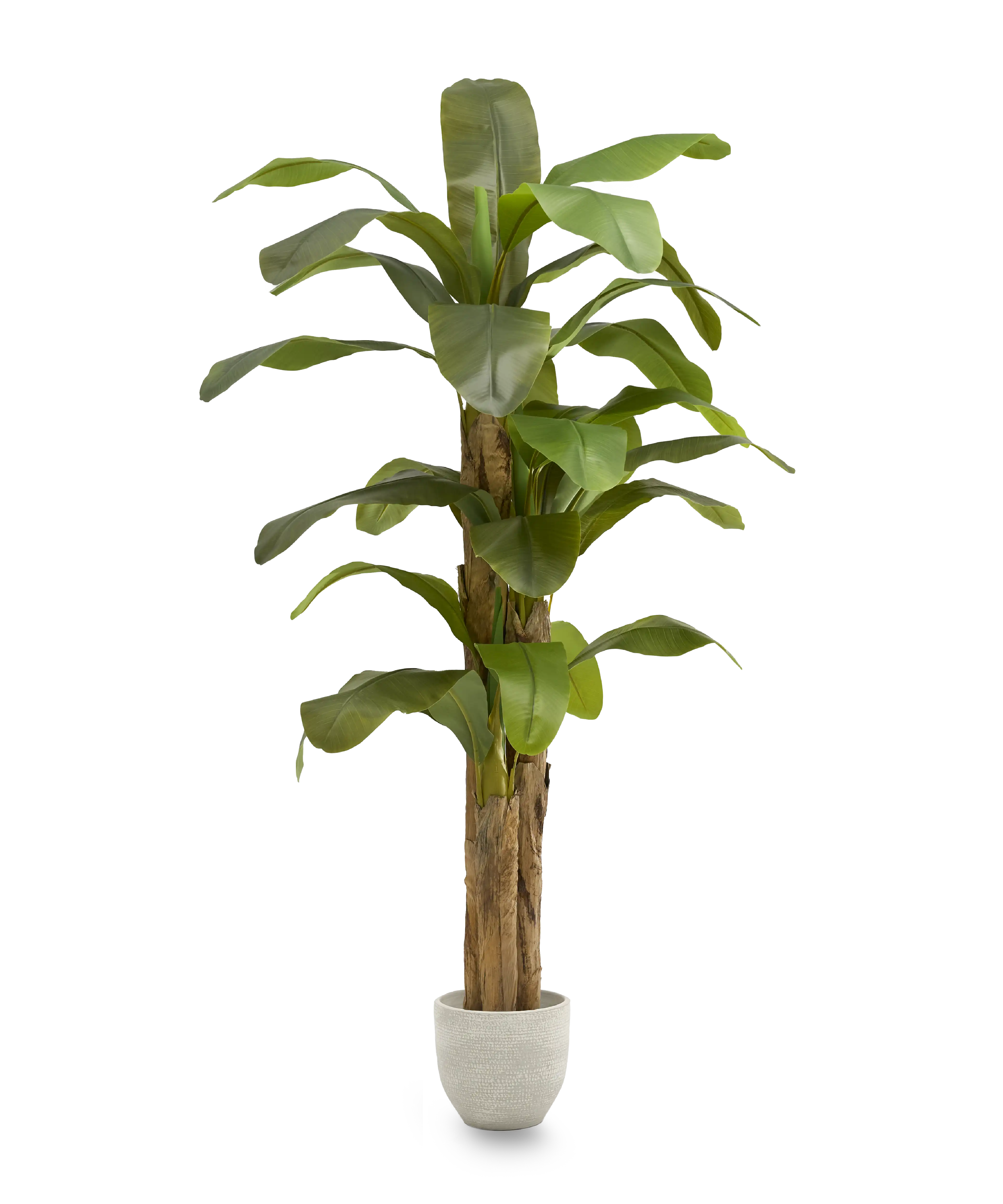 Platanera Artificial 210 MAIA SHOP PNG