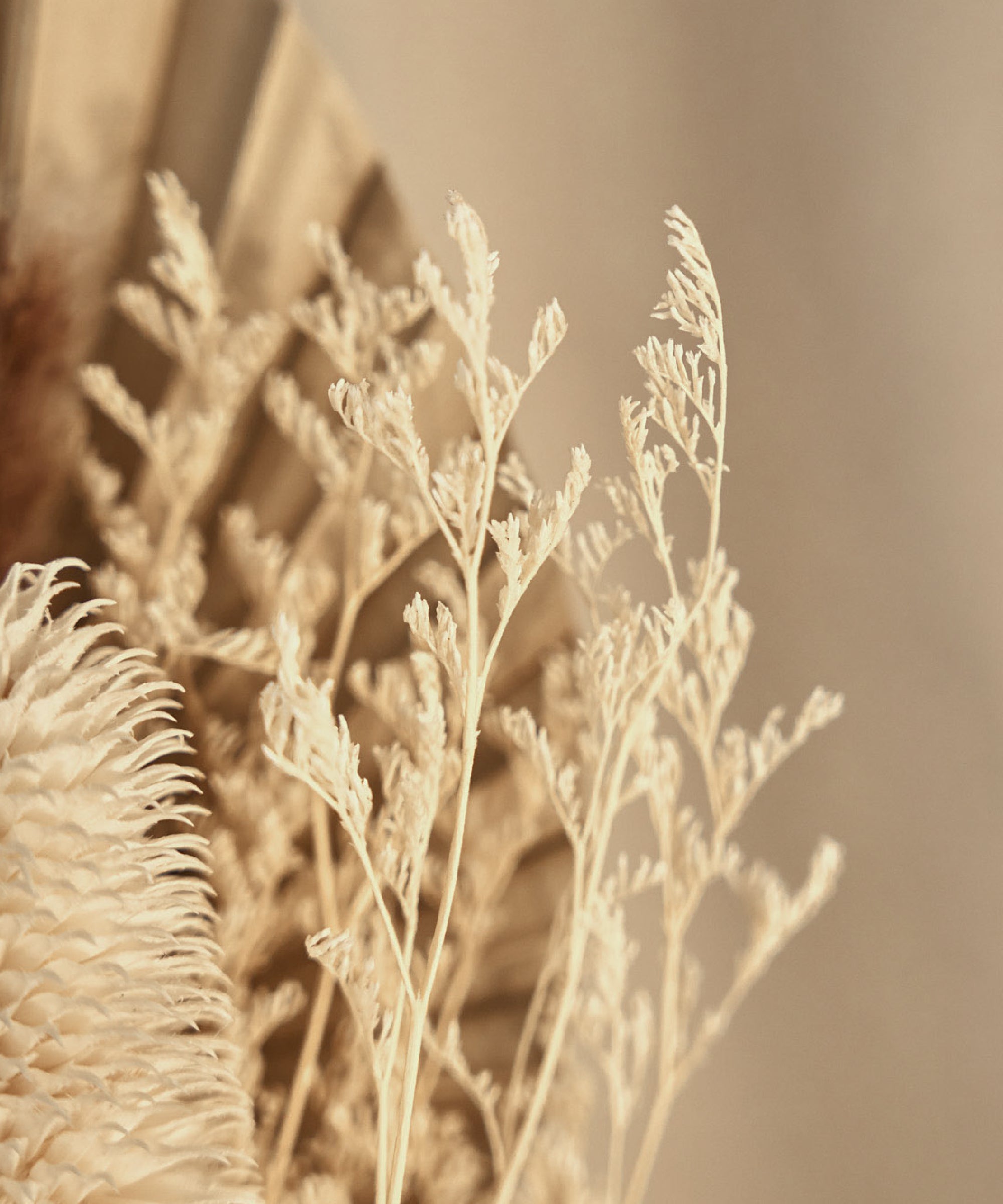 Ramo Preservado Harmony MAIA SHOP Detalle