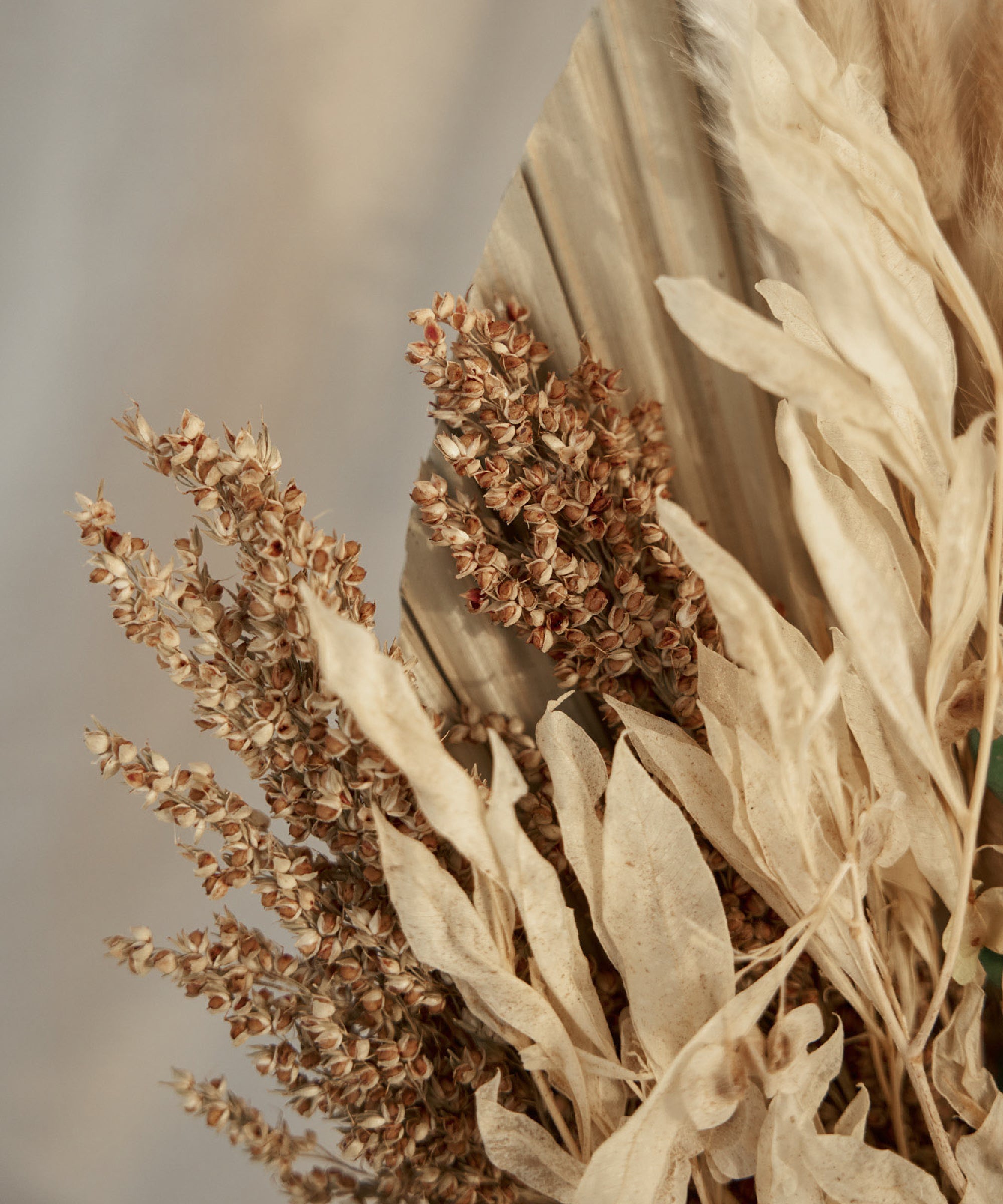 Ramo Preservado Nature MAIA SHOP Detalle