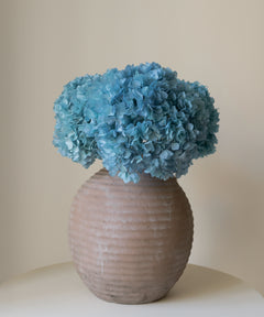 Ramo de Hortensias Preservadas MAIA SHOP Azul