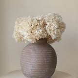 Ramo de Hortensias Preservadas MAIA SHOP Blanco