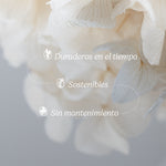 Ramo de Hortensias Preservadas MAIA SHOP Caracteristicas