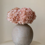 Ramo de Hortensias Preservadas MAIA SHOP Rosa Soft
