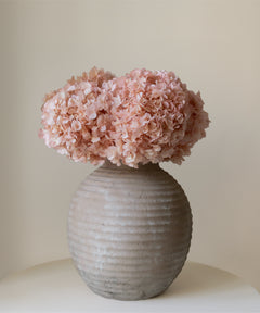 Ramo de Hortensias Preservadas MAIA SHOP Rosa Soft