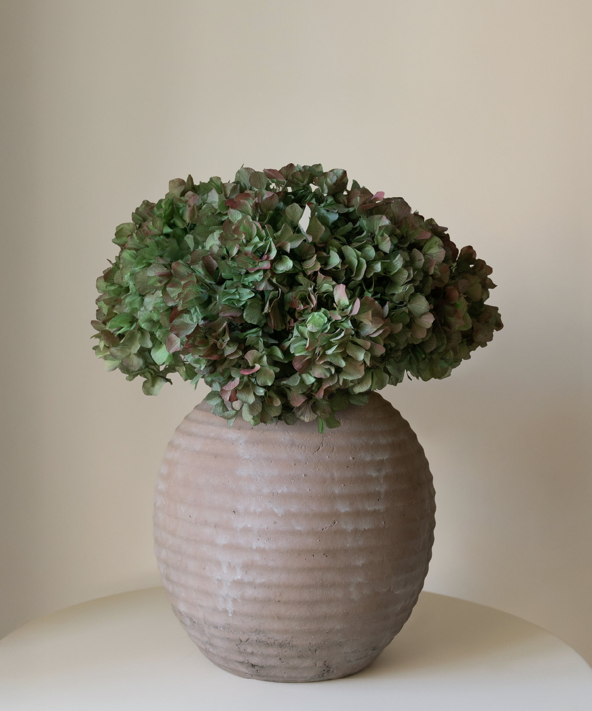 Ramo de Hortensias Preservadas MAIA SHOP Verde